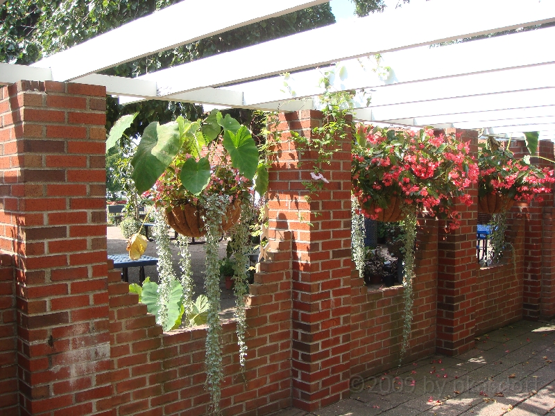 Western Michigan [2009] 495.JPG - Scenes from Windmill Island in Holland, Michigan.